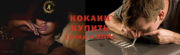 стаф Нефтегорск