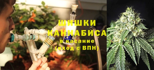 стаф Нефтегорск